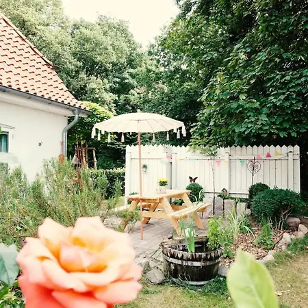 Der Mühlenhof Apartment